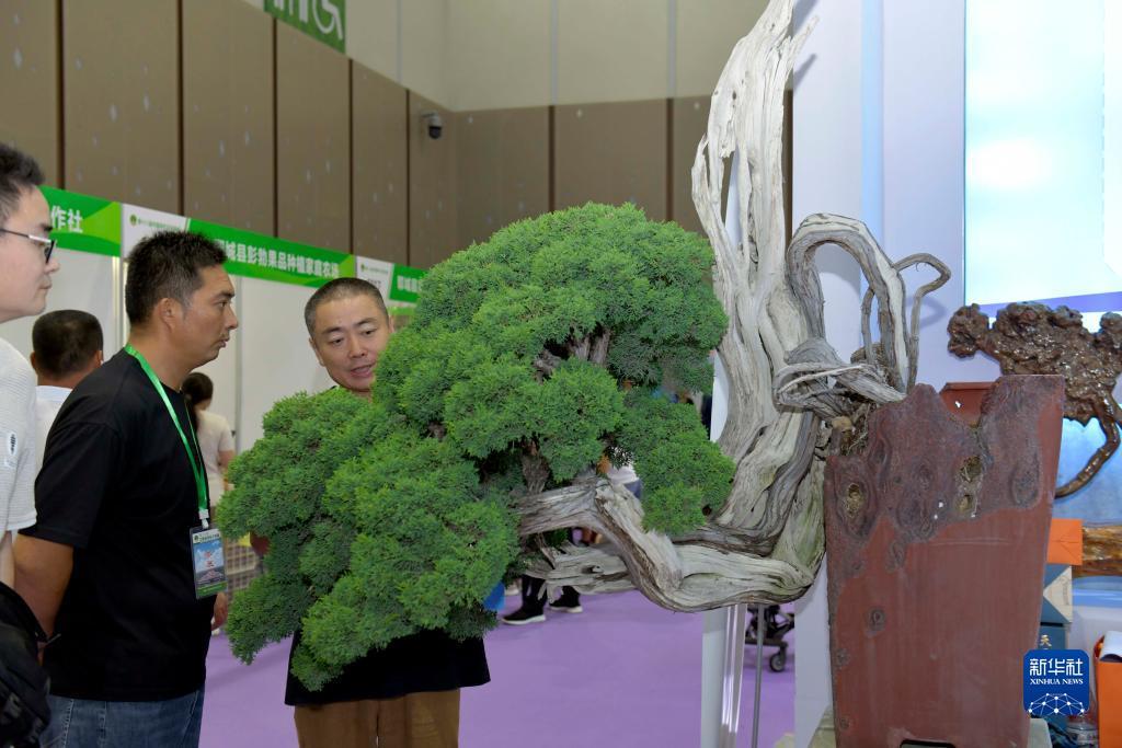 菠菜游戏单机